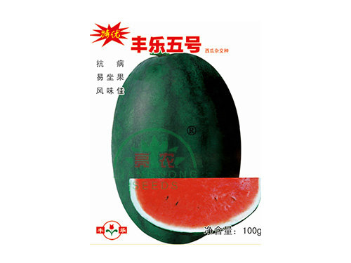 特優(yōu)豐樂(lè )5號